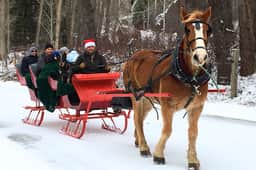 Crystal River Mountain Getaway - Image 5