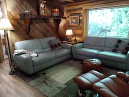 2BR Trout Stream Cabin Near Asheville - Image 5