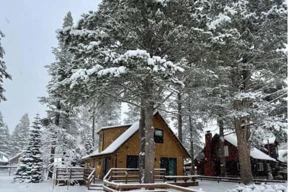 Oasis in the Pines - Image 1