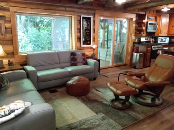 2BR Trout Stream Cabin Near Asheville - Image 4